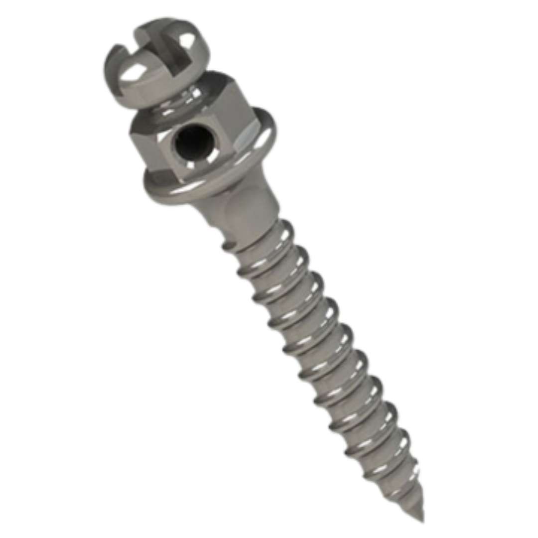 Minitornillo cabeza de bracket Morelli
